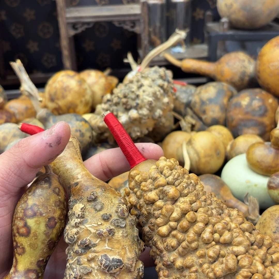 *****香榧木哈哈哈哈哈哈哈