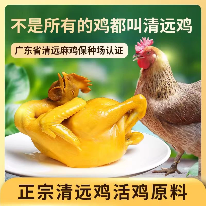 【正宗清远盐焗鸡1000g*2】叹鸡广东清远鸡手撕鸡皮滑肉嫩咸香入骨