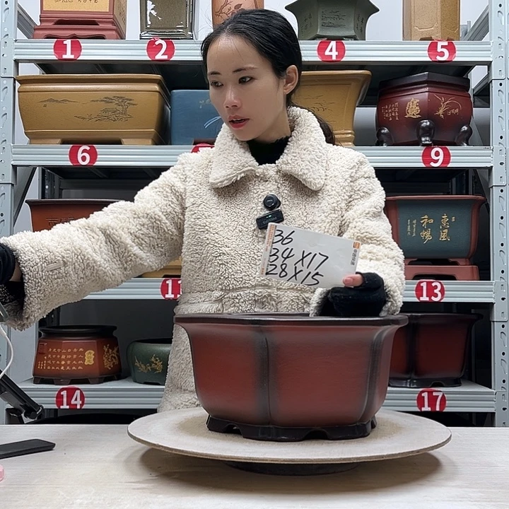 紫砂花盆紫砂花盆