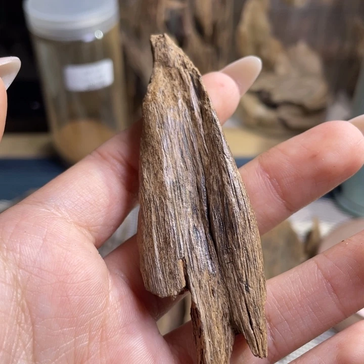 沉香越南纽结土埋料4.9克