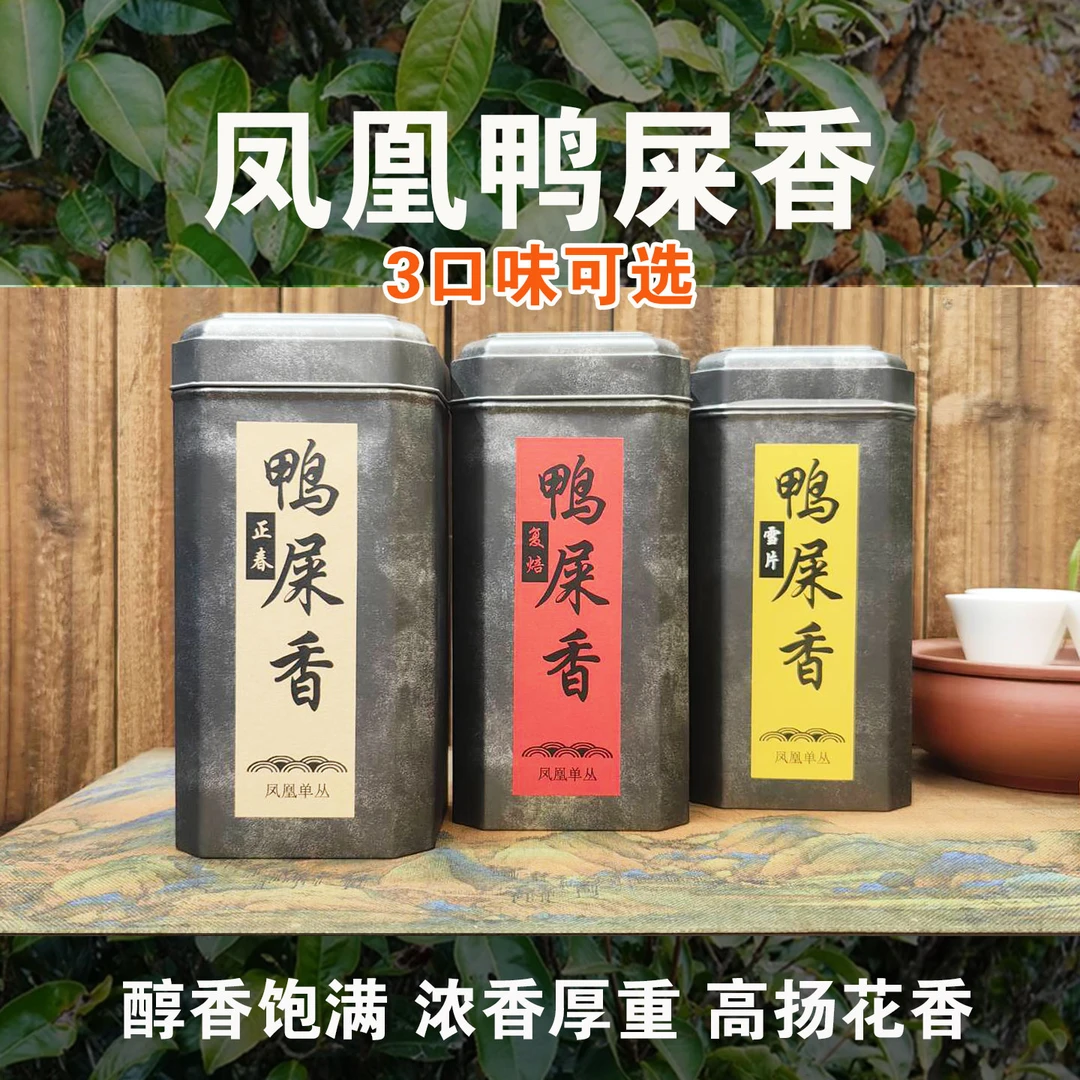 三种风味鸭屎香茶叶高香雪片单枞潮州凤凰单丛高山春茶浓香型罐装