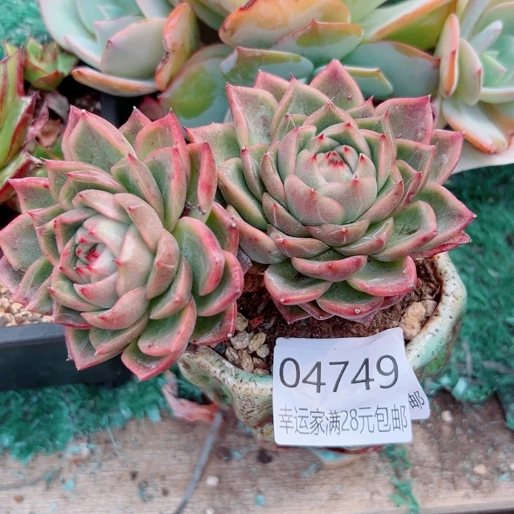 幸运的是你还没到我身边