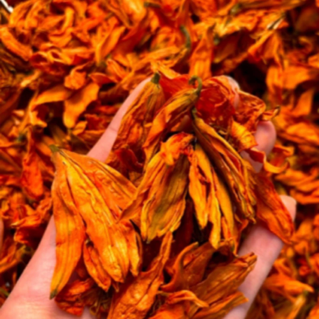 深山好货 源自农家-1灵芝花