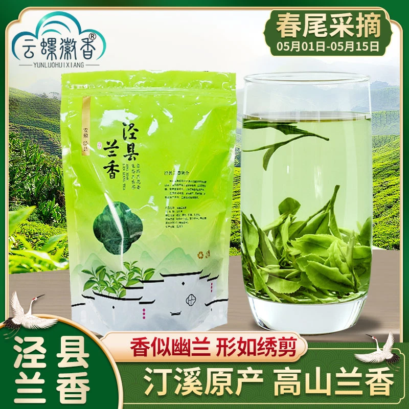 2025春尾新茶叶泾县兰香茶汀溪高山云雾绿茶浓香耐泡新品安徽春茶
