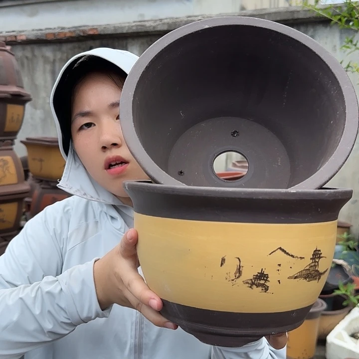 25+25黄色花盆花盆花盆