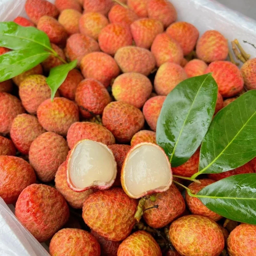 【辉展甄选】妃子笑礼盒荔枝新鲜当季时令水果爽口多汁顺风包邮