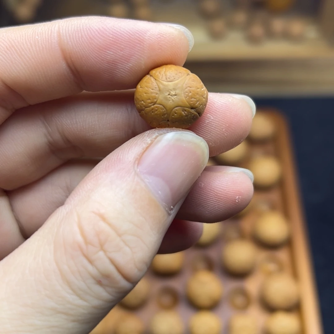 手串凤眼菩提15.6麒麟眼