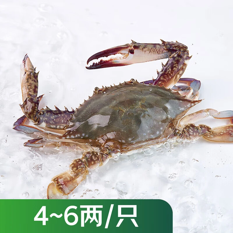 鲜活梭子蟹200-300g/只
