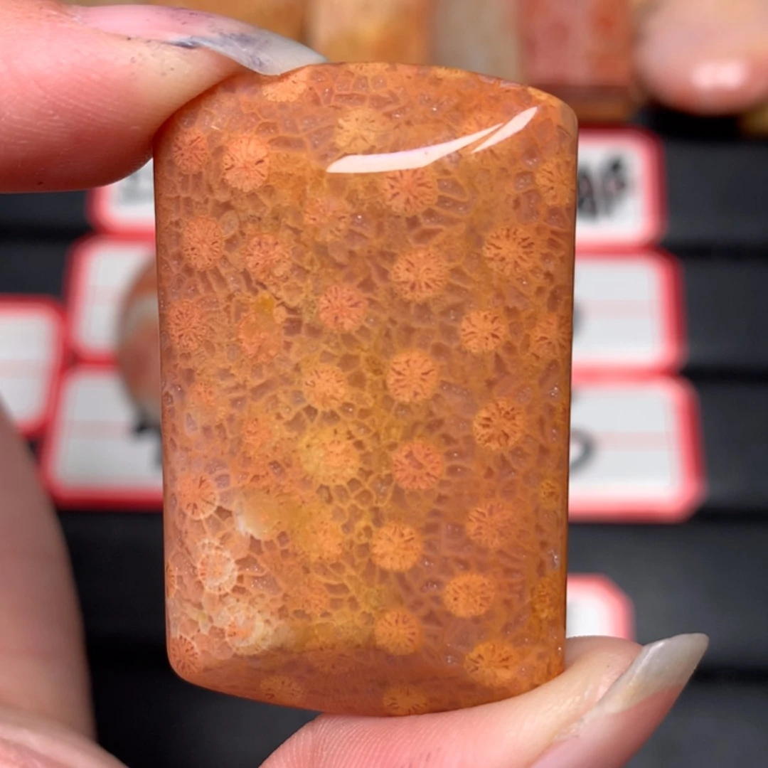 【闪购商品】硅化玉颈饰未镶嵌小*
