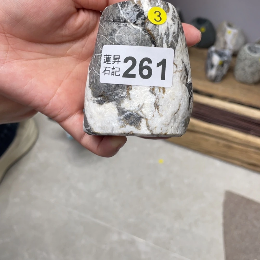 核桃木/黑胡桃（胡桃木）夏*261