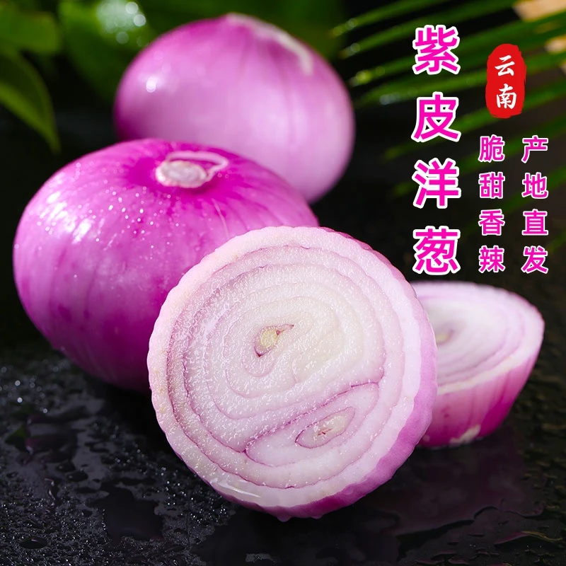 【森捞】精选云南紫皮洋葱脆甜香辣生吃新鲜现挖在轻食整箱包邮