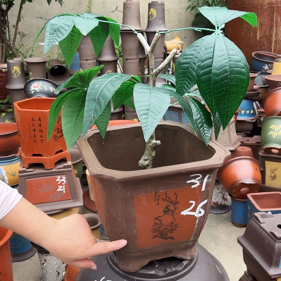 31红色切角四方花盆花盆花盆