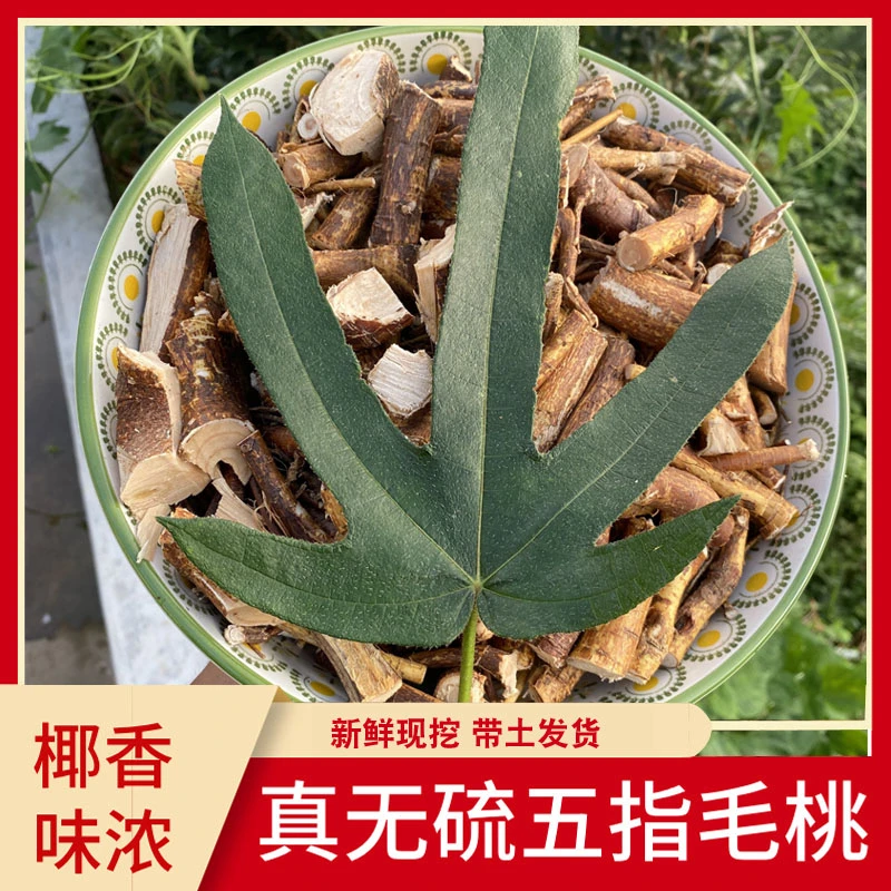 深山新鲜现挖湿小叶五指毛桃根250/500g无硫营养美味煲汤煮水食材