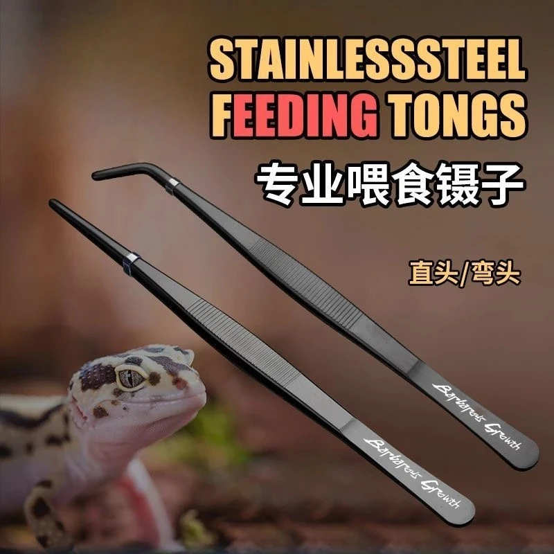 爬宠镊子爬虫昆虫蟋蟀乌龟角蛙粪便夹蜥蜴蜘蛛喂食不锈钢弯头直头