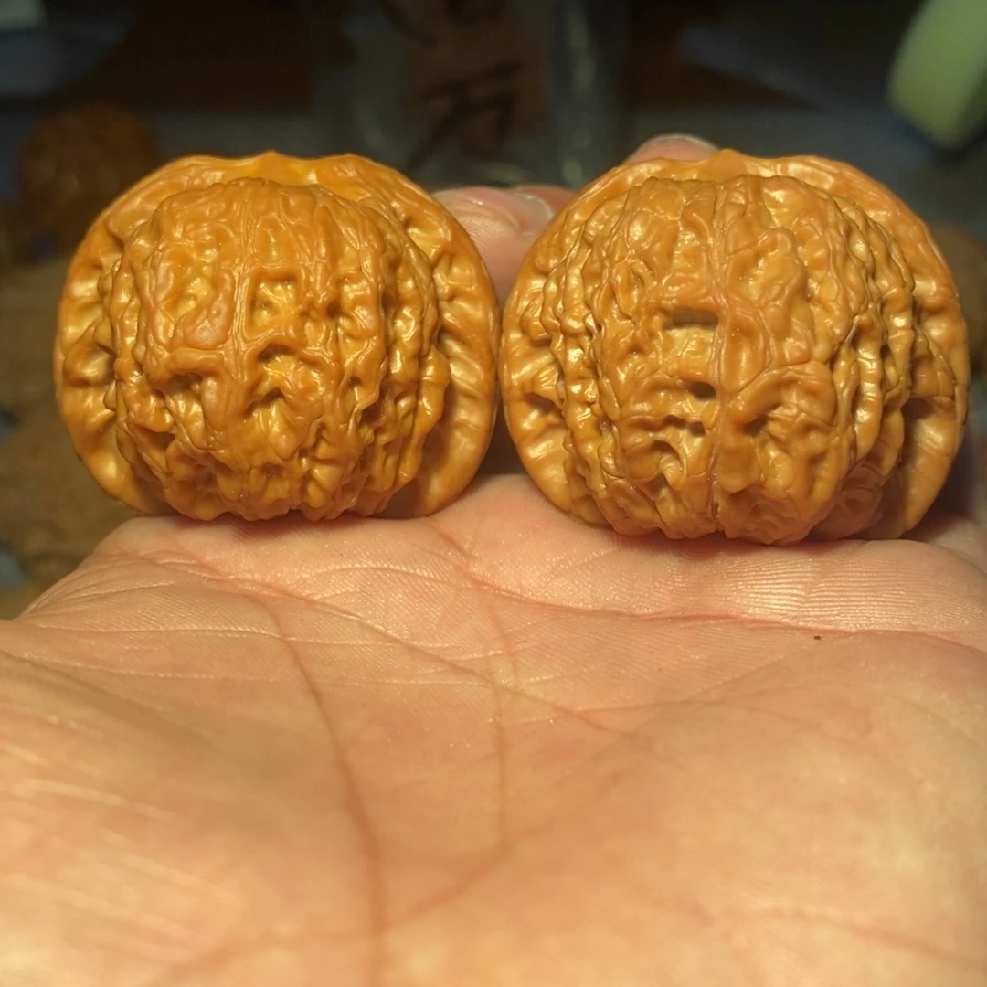 41血麒麟。