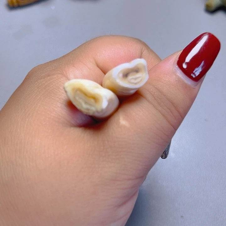 大果紫檀（缅甸花梨）其他