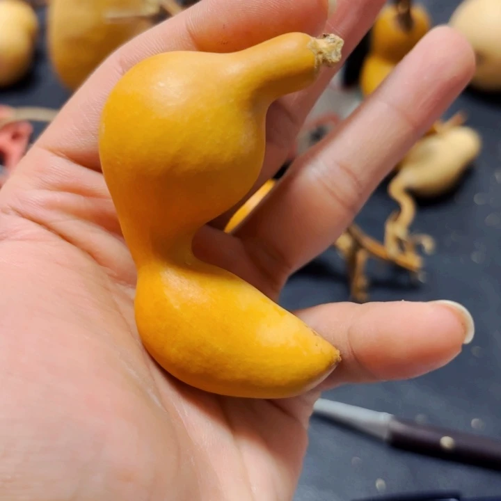 叮*8888888888888888888