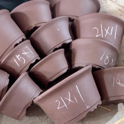 100-12。