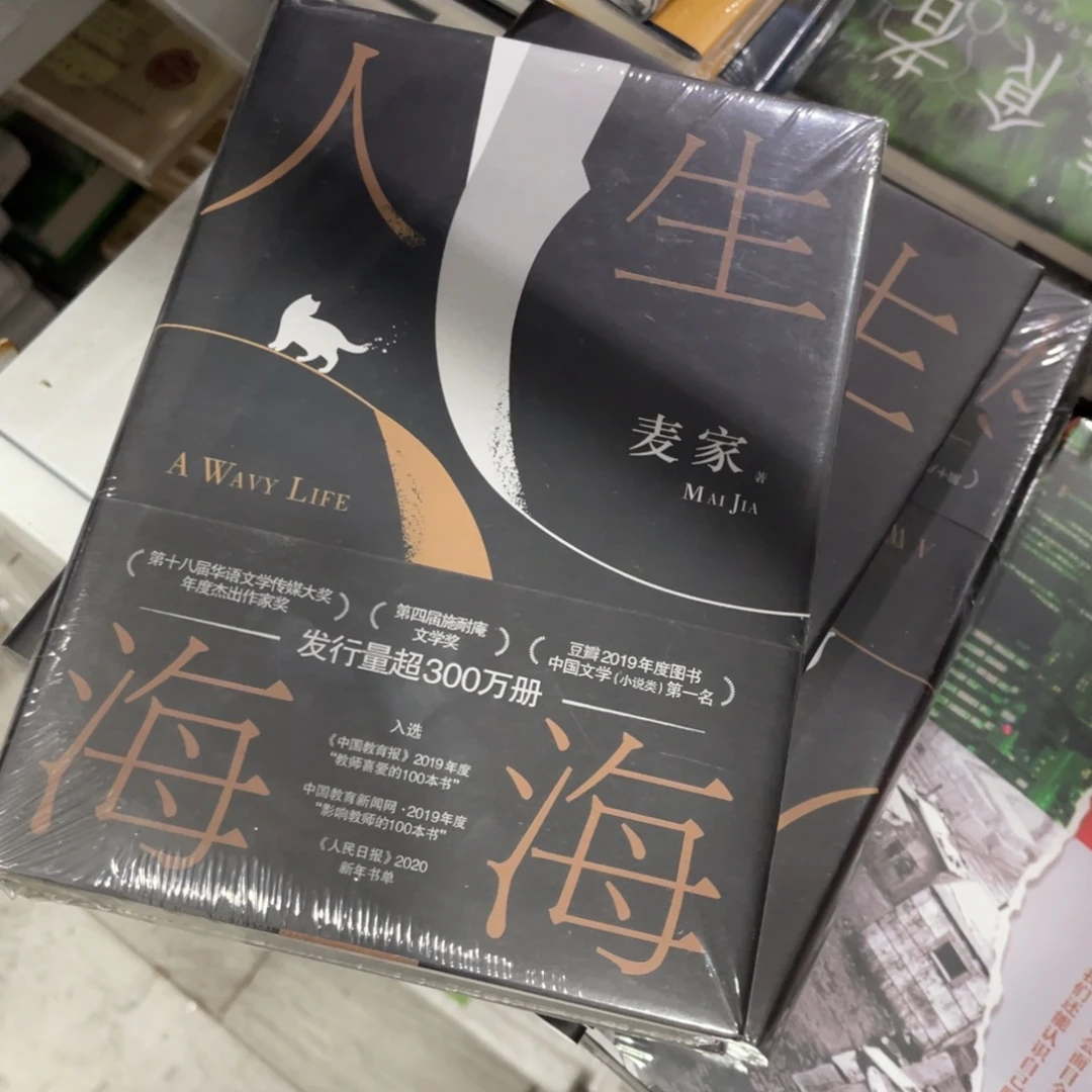 人生海海精装一个