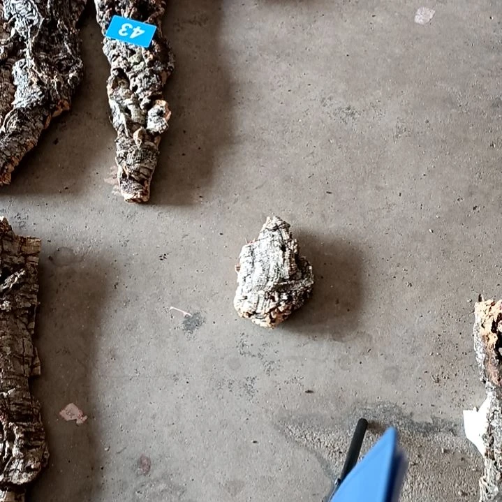 木12宽18长左右4斤