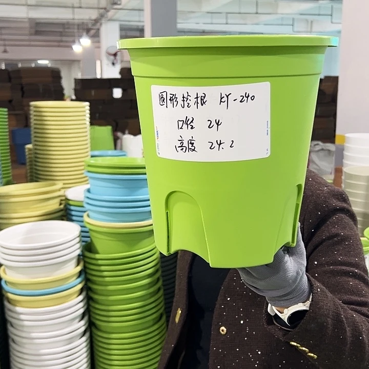 正品圆控口24高24绿色无托8只