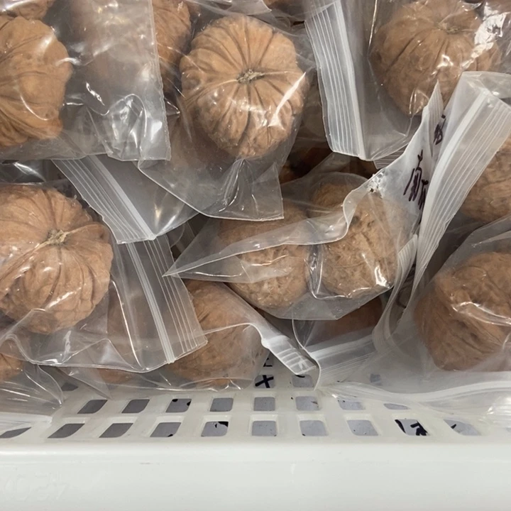 吊坠文玩核桃南瓜墩儿一般对