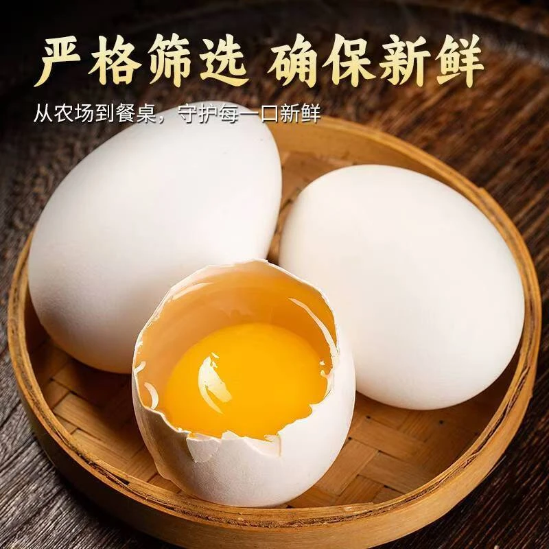 正宗新鲜农家散养土鹅蛋现捡现发营养丰富