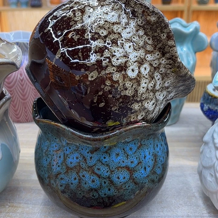 多肉植物陶瓷花盆