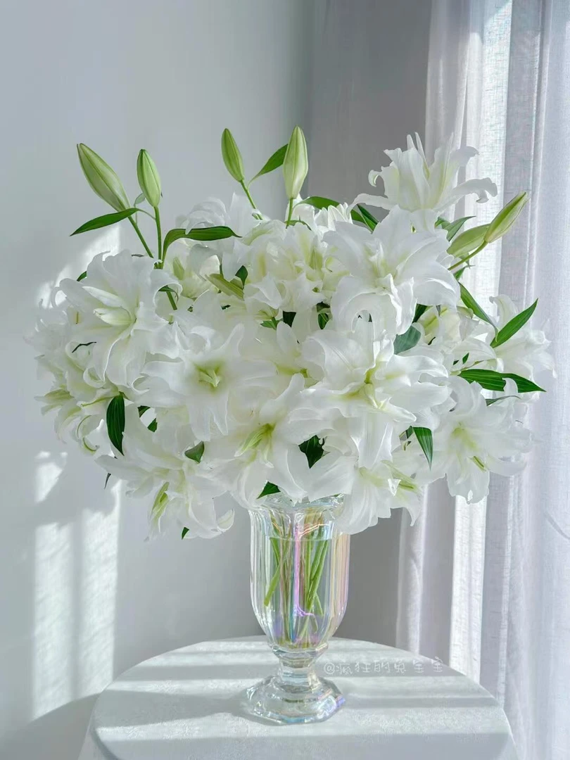 【双重幻想重瓣百合】 全场任意两单京东/顺丰