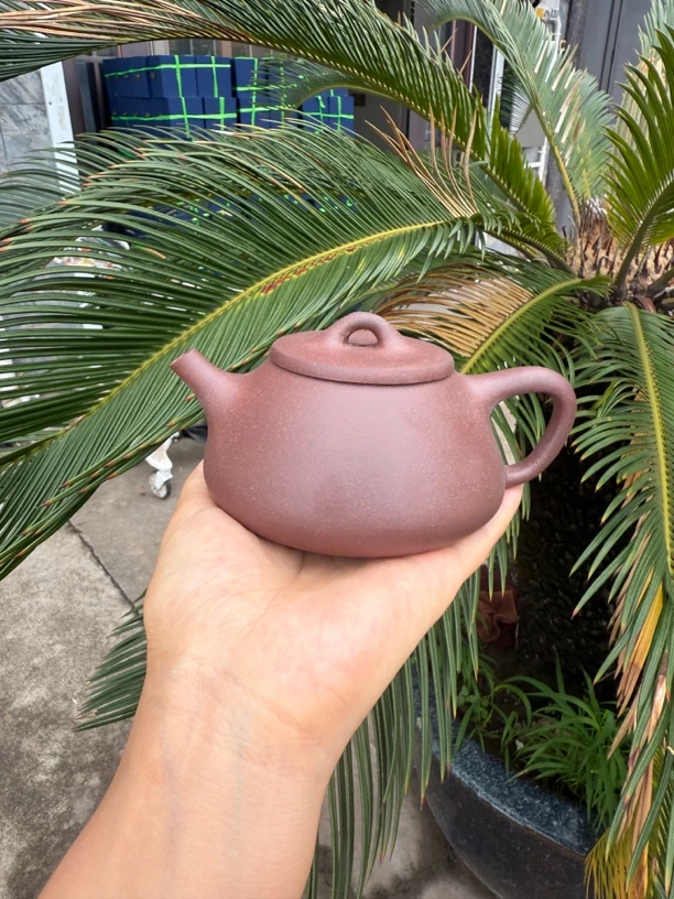 宽口石瓢紫泥半手约260cc左右无酸洗无添加