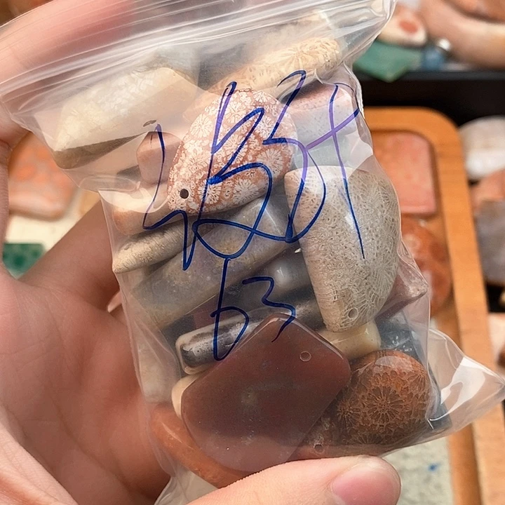 硅化玉颈饰未镶嵌设****毅