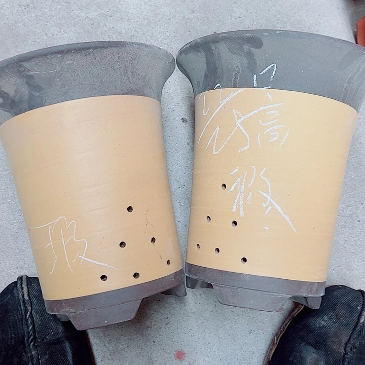 红陶紫砂紫砂紫砂