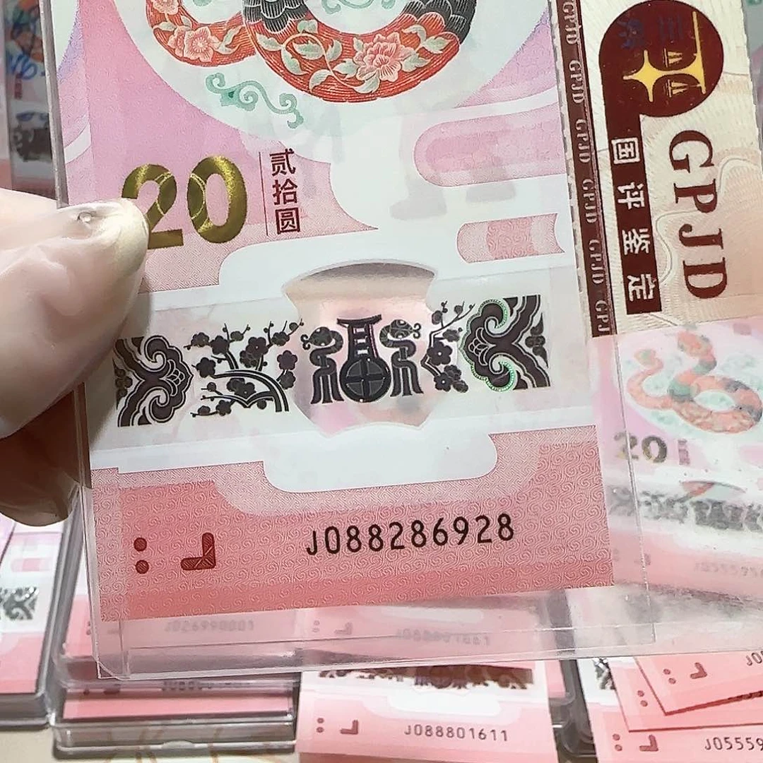 纸088286928。。。龙珠