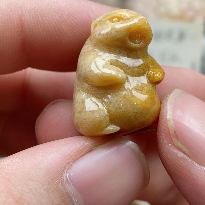 硅化珊瑚（珊瑚玉）未镶嵌颈饰小摆件