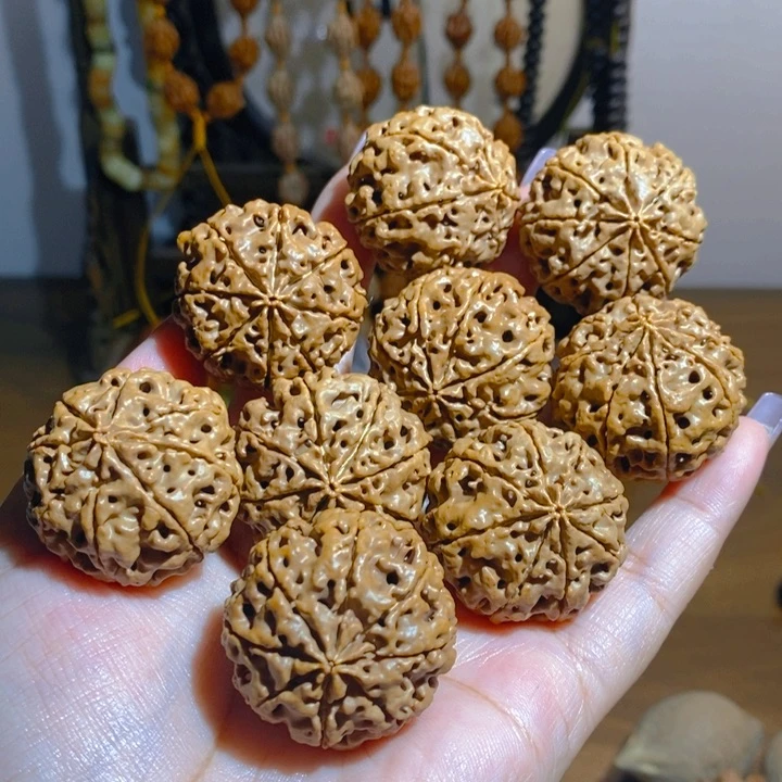 野生多瓣大金刚手持338