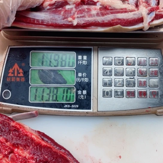 【闪购商品】冷冻保存30天包装河北省