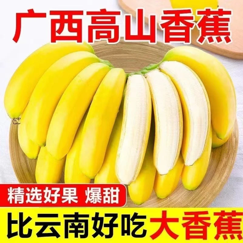 香甜软糯广西高山香蕉新鲜水果超甜青皮现摘甜蕉需催熟客服高品质