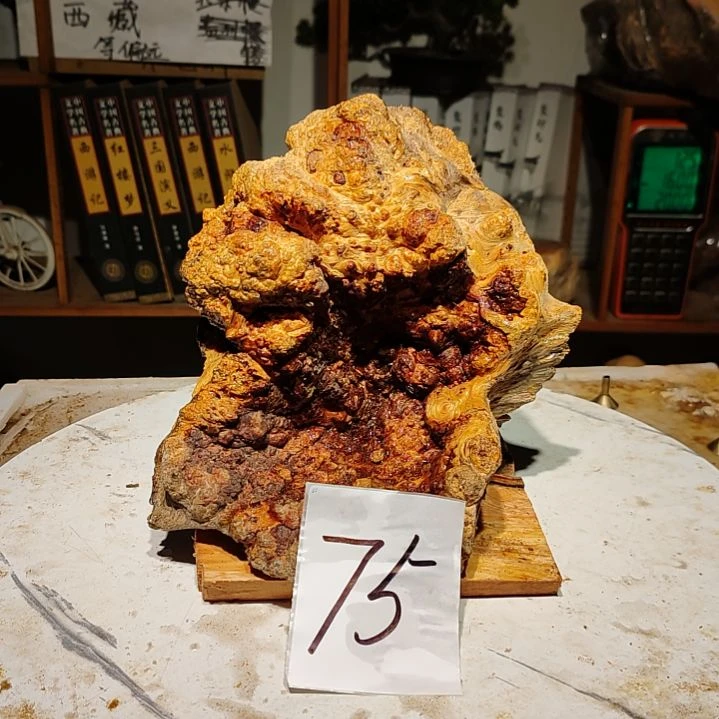 松木?*星75号北沉香琥珀木天然造型