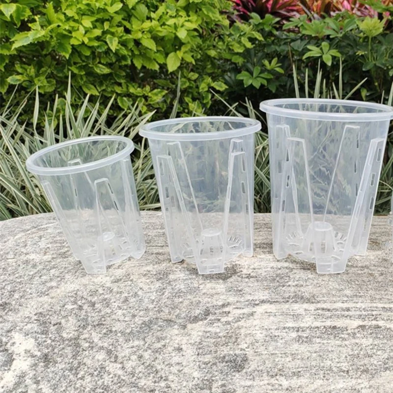 水晶盆景花烛天南星科控根盆透气蝴蝶兰花盆热植盆青山盆