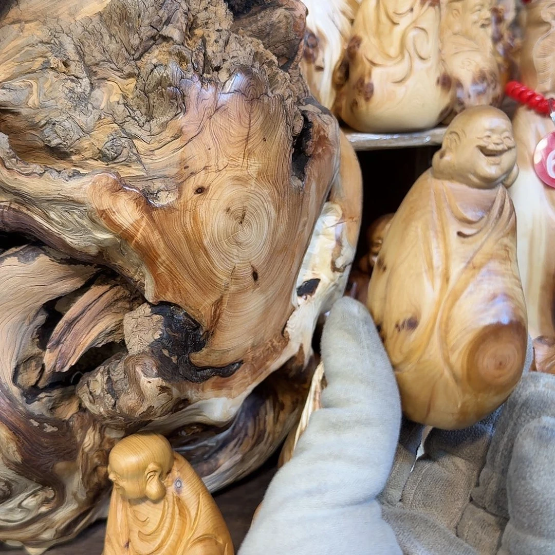 柏木（崖柏）666666666