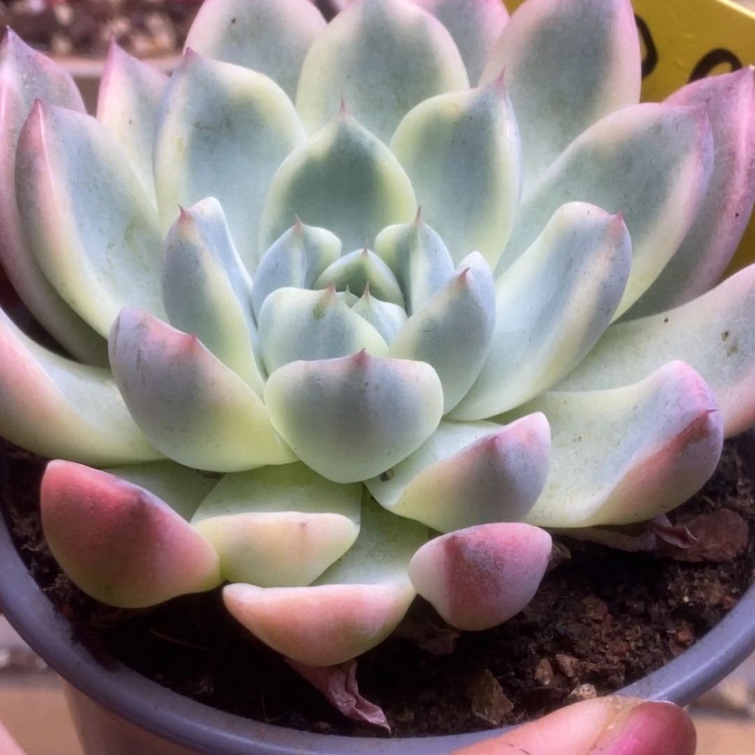 海*188啦啦啦啦啦啦啦啦啦啦啦