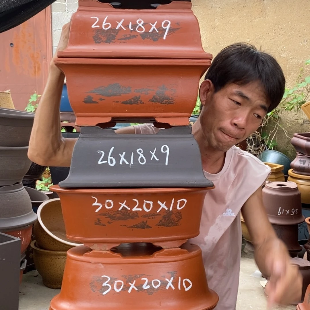 紫砂紫砂紫砂紫砂