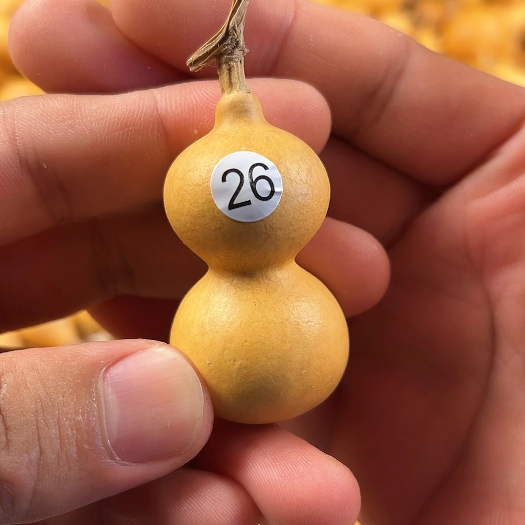 五葫芦葫芦葫芦葫芦26