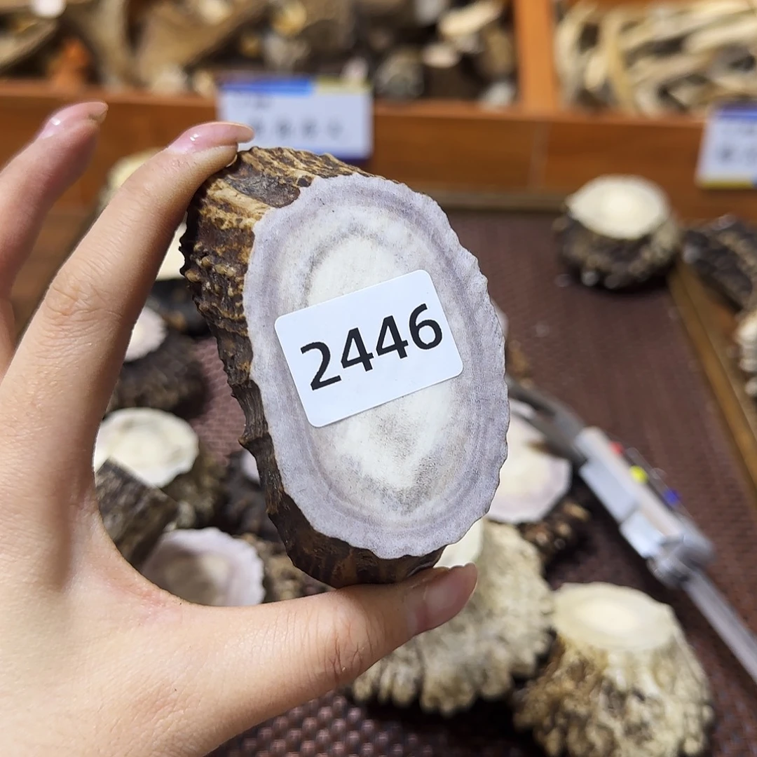 鹿骨手串/手链角片2446