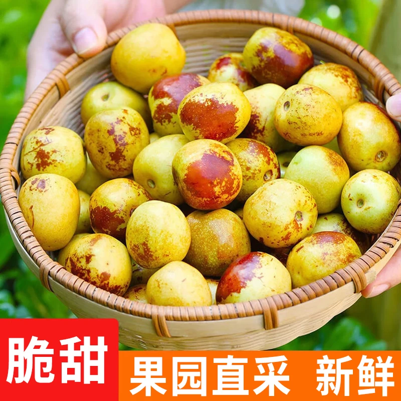 【多送2斤】YT现摘冰糖冬枣脆甜新鲜水果应季当季青红枣子批发