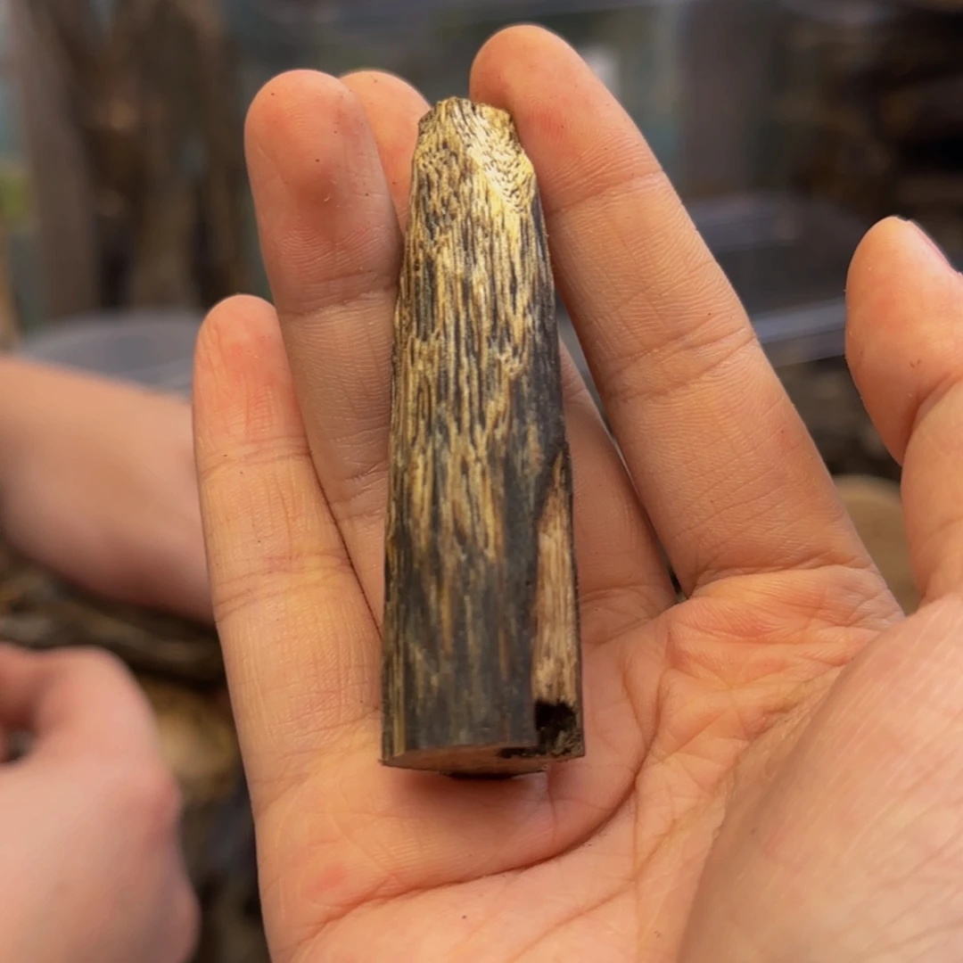 沉香沉香碎屑9.9克48