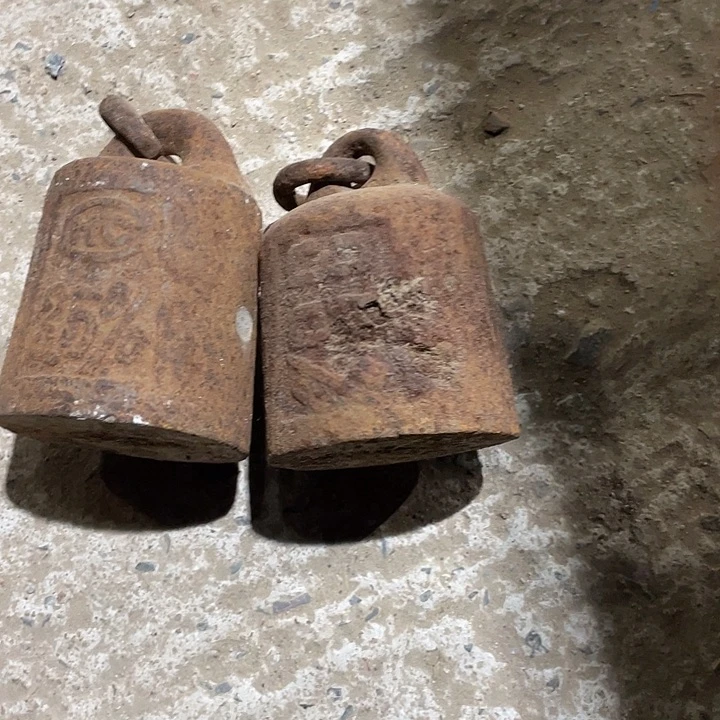 香榧木杨*老托2个包邮