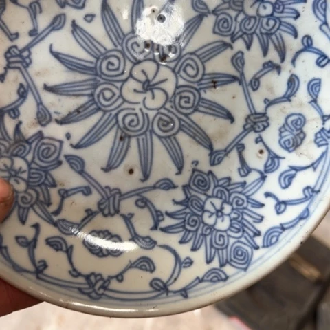 核桃木/黑胡桃（胡桃木）林****教