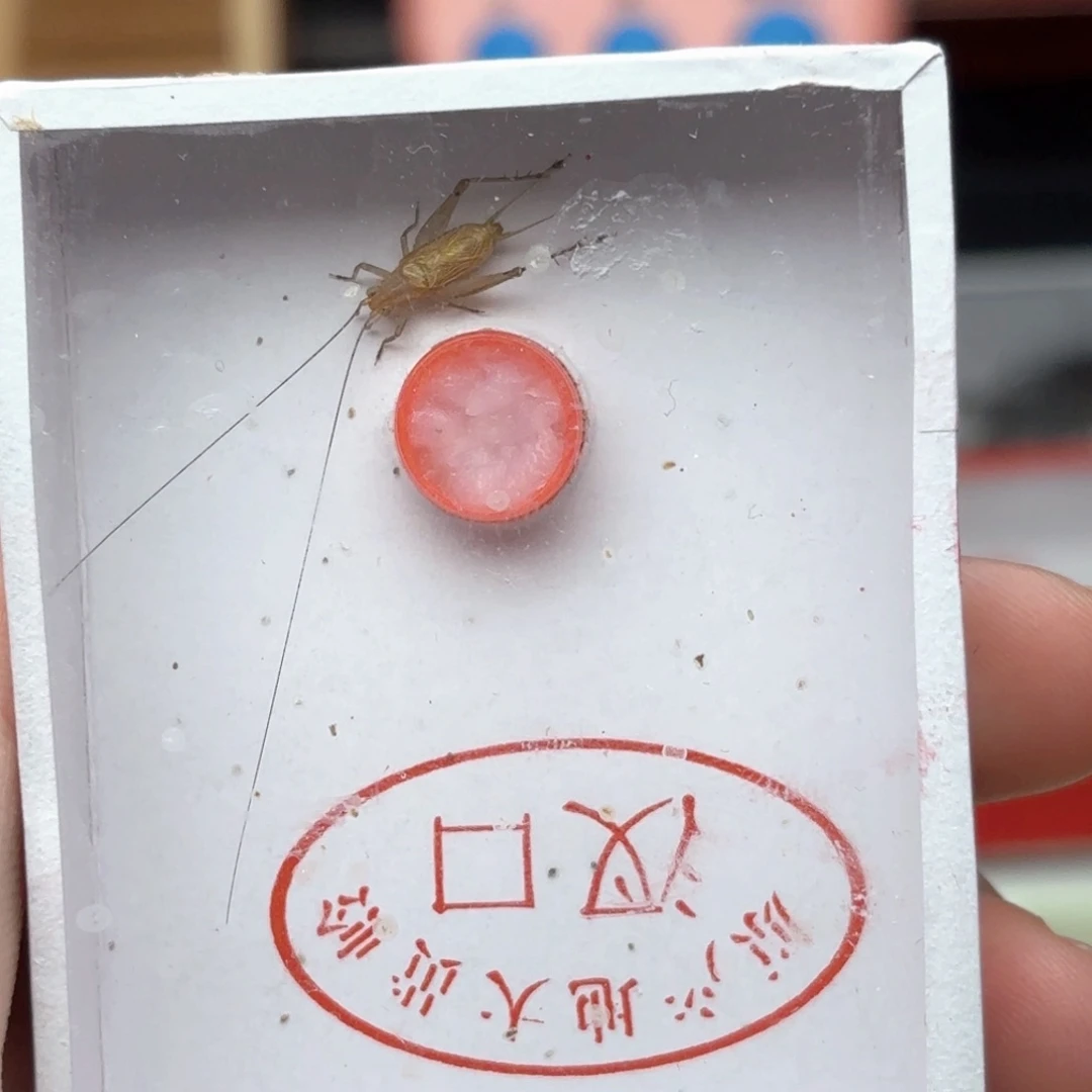 哈哈哈哈哈哈哈哈哈