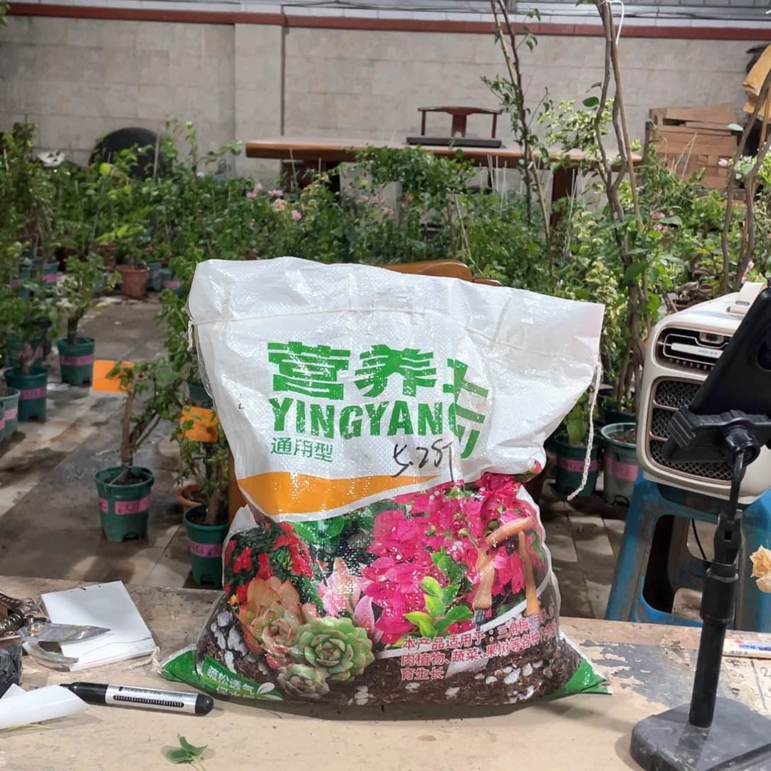 土土土土土土土土